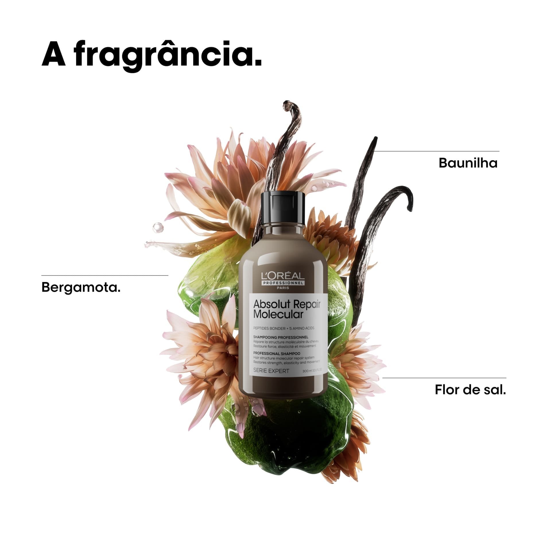 Shampoo Absolut Repair Molecular 300ml