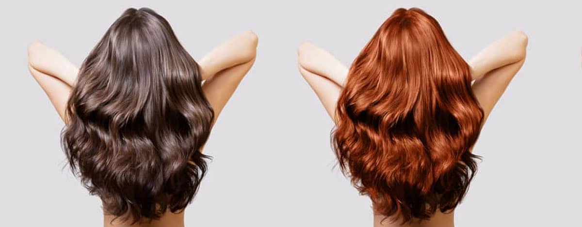 Imagem de mulheres com cabelo castanho