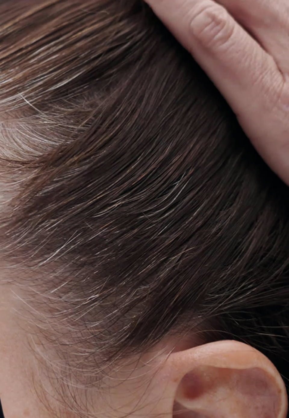 Cobertura dos cabelos brancos.